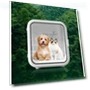 Automatic Temperature Control Pet Drying Box — , Explorer Outdoors