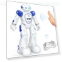 Гуманоидный робот — Dolls & Figures, MIYAKO