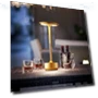 Industrial Style LED Desk Lamp with Charging — Desk & Table Lighting, Rainbow Rain