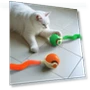 Interactive Cat Toy Ball — Cat Playthings, Love Pet House
