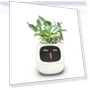 Smart Care Smart LED — Vases, Premium SPEED