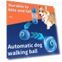 Smart Toy Ball for Dogs — Interactive Animal Companions, Pet Zooo