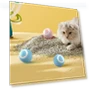 Automatic Rolling Ball Cat Toy — Cat Playthings, Sagittarius7v