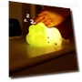 Cute Cabbage Night Light — Lamps & Shades, DC-HOME Textile