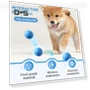 Interactive Pet Ball Toy — Interactive Animal Companions, Kitty Cat House