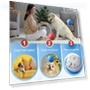 Interactive Pet Ball Toy — Interactive Animal Companions, Vogue Wardrobe