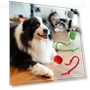 Interactive Pet Toy Ball — Cat Playthings, kaixindianpu