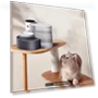 Rechargeable Smart Pet Water Fountain — Fountains, Zhiruei