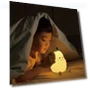 Rechargeable USB Night Light Pear — Night Lights, Explorer Outdoors
