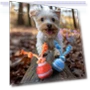 Smart Automatic Dog Toy with Moving Ball and Squeaky Motion Sensor — Balls, Pet park