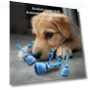 Smart Automatic Moving Ball Squeaky Dog Toy — Balls, Easy Fitness