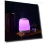 Ultrasonic Cool Mist Humidifier with Nightlight — Air Moisturizers, Sibosz
