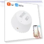 Water Leak Sensor — Water Leak Detection Systems, Tuya