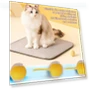 Interactive Pet Toy Ball — Interactive Animal Companions, Pansyf