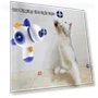 Interactive Cat Toy Ball Launcher — Cat Playthings, Pansyf