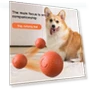 Interactive Smart Ball for Pets — Interactive Animal Companions, Wangpuya
