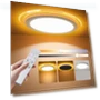 Flush Mount LED Ceiling Light with Nightlight — Overhead Lighting, Aphyni