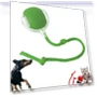 Fast Rolling Electric Ball for Pets — Interactive Animal Companions, Longlish