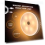Motion Sensor LED Night Light — Night Lights, PHYUN-autoparts