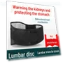 Self-heating Waist Support Belt with Steel Plate — Back Braces, AI Supermarket