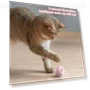 Smart Pet Toys — Balls, Two Shy Girl