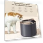 Automatic Water Fountain for Cats — Pet Hydration Solutions, Pawstrip
