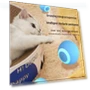 Automatic Cat Toy Gravity Ball — Balls, AI Supermarket