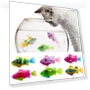 Automatic Cat Toy with LED Light — Cat Playthings, Super Dream Home
