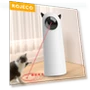 Automatic Cat Toys — Cat Playthings, NATAWA