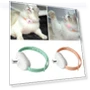 Smart Laser Cat Collar — Cat Playthings, Jiaqiinfee