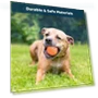 Interactive Pet Ball — Automatic Launchers, Love Pet House
