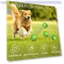 Interactive Dog Toy Ball — Balls, Dainty