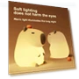 3D Capybara Lamp — Creative Lighting Solutions, Super shoes Mall