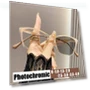 Color Changing Cat Eye Frame Glasses — Sun Protection Eyewear, CICI Global Glasses