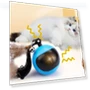 Interactive Cat Ball with Feather Tails and Sound — Cat Playthings, World Auto Parts
