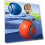 Interactive Automatic Rolling Ball with Artificial Tail — Cat Playthings, VanSmaGo
