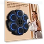 Smart Musical Boxing Trainer — Boxing Training Gear, Polina