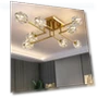 Crystal Ceiling Light — Chandeliers, OKES
