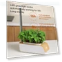 Hydroponic Growing System — Germination Kits, RUI RUI YU 6