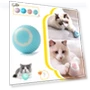 Interactive Rolling Toy for Cats — Cat Playthings, YJMP Top