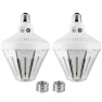LED Corn Light Bulbs, NS