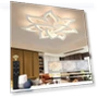 Smart Ceiling Light Fixture — Overhead Lighting, SKY ANGLE