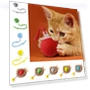 Automatic Self-Rolling Smart Cat Toys — Cat Playthings, shghaon