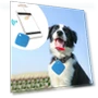 Mini Pet Locator with Loss Protection — Item Locators, JIOUjitang