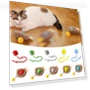 Rechargeable Electric Cat Toy Ball — Cat Playthings, wuipuen