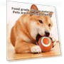 Electric Rolling Ball Dog Toy — Cat Playthings, liianheng