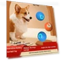 LED Electric Rolling Ball Dog Toy — Cat Playthings, ryewnuok