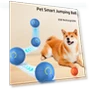 Rechargeable Smart Ball for Dogs — Balls, Renran