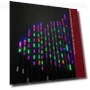Ultra-sensitive LED Smart Fishing Float for Night Fishing — Bite Indicators, YNliujia