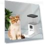 Automatic Cat Feeder — Automatic Feeders, Chinese Style